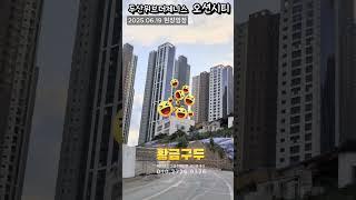 부산분양권 거래량 미쳤다.! 두산위브더제니스 오션시티 분양권 전문! 두산위브더제니스오션시티 20256.19#대연디아이엘#우암동대단지아파트#우암2구역 #마이너스프리미엄#현장임장