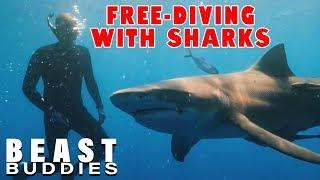 Young Couple Free-Dive With Sharks | BEAST BUDDIES