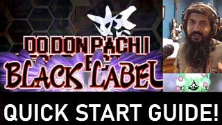 QUICK START GUIDE! to DODONPACHI DAIFUKKATSU (RESURRECTION) BLACK LABEL!