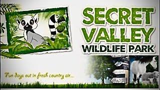  Secret Valley Wildlife Park | Zoo & Pet Farm | County Wexford, Ireland - 4K 60fps.