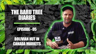 THE BARU TREE DIARIES - EPISODE 5 - S01 - BOLIVIAN BARU NUTS IN CANADA MARKETS