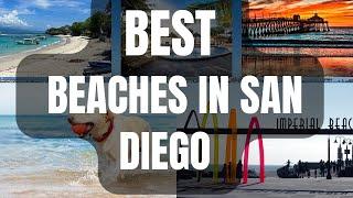 Top 8 Best Beaches in San Diego, California 2024