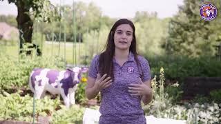 Purple Cow IndiCanja | The Water-Only Living Supersoil for Heavy Feeding Plants