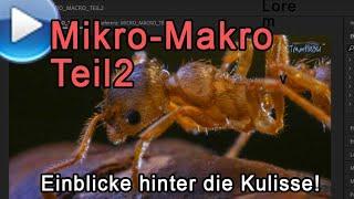 Mikro-Makro, Teil 2: extreme Einblicke hinter die Kulissen