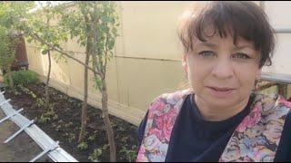 Спасаю урожай. Все для красоты и уюта. Делаю новую грядку с бордюром. Жизнь семьи в деревне.