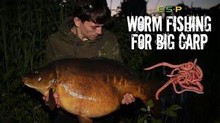 Worm Fishing for BIG CARP | Alfie Russell