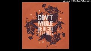 Gov't Mule - The Same Thing
