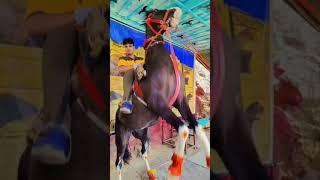 AARTHIK AZADI KI JUNG RCM KE SANG