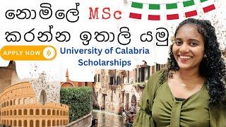 MSc Scholarships in Italy 2024 | #නොමිලේ ඉතාලි උසස් අධ්‍යාපනය #fullyfundedscholarships