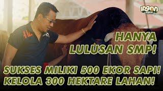 Pria Lulusan SMP, Sukses Beternak 500 Sapi & Bertani Nanas di Lahan 300 Hektar!