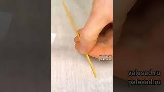 Бирки для рассады за считанные минуты! #short #shorts #shortvideo #огород #рассада