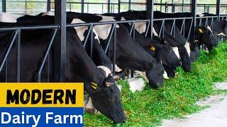 Exploring The Modern Dairy Farming | Advanced Methods of Dairy Farming