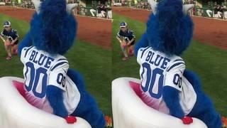 Highlight Video - Mascot Hall Of Fame Submission