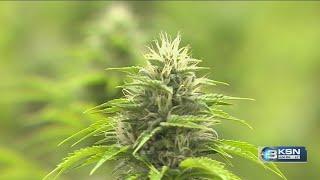 Debate continues in Kansas over medical marijuana after Nebraska voters approve it