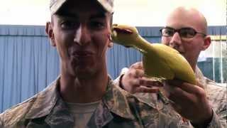 USAF Honor Guard - Rubber Chicken Bearing Test