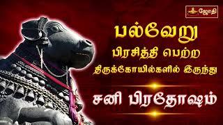 LIVE: தோஷங்கள் நீங்கும் சனி பிரதோஷம் | பல்வேறு பிரசித்தி பெற்ற திருக்கோயில்களில் இருந்து | Jothitv