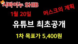 [ 시바이누 SHIB ]  1월20일 머스크의 계획 유튜브 최초공개!