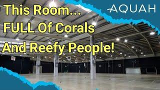 AquaH: The UK's Biggest EVER Coral show | The Prestige Reef Dork Show Ep 52