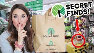 14 Dollar Tree Products You Didn't Know Existed |  HIDDEN GEMS OF 2021