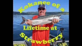 Kokanee of a Lifetime at Strawberry