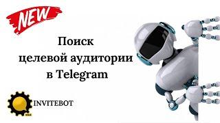 Поиск целевой аудитории в Telegram с помощью парсера InviteBot