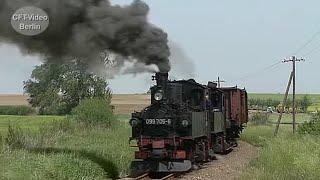 IVK Rollwagen-Planbetrieb Oschatz-Mügeln