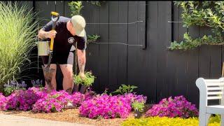 Planting Variegated Brunnera, Red Coleus & Black Petunias!  || Visit Our Garden