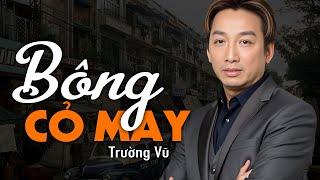 BÔNG CỎ MAY - Trường Vũ (Nhạc Xưa) | Nhạc Vàng Xưa Bất Hủ Một Thời