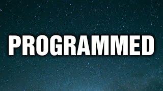 HIREZ - PROGRAMMED ( LYRICS )