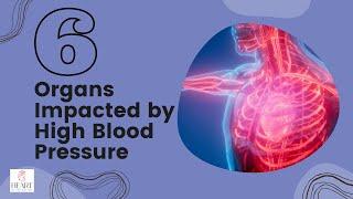 What Organs can be Damaged by High Blood Pressure?