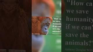  Create A Better World For Animals!