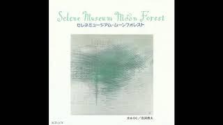 Kensuke Mitome (三留研介) & Gota Wakabayashi (若林剛太) - Selene Museum Moon Forest (1993) [Full Album]