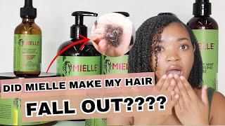 Is the Controversy TRUE??? | The TRUTH about Mielle Organics + Review