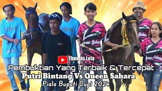 Full Race Kelas D & E Dewasa || Putri Bintang & Queen Sahara Jadi Primadona.