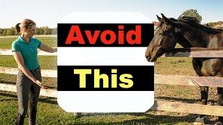 BEGINNER HORSE RIDING MISTAKES - TOP 10 