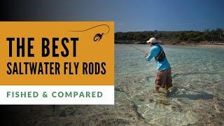 Best Saltwater Fly Rods (Tested & Compared)