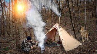 Solo camp among hungry jackals - Hot tent - Wood burning stove - Bushcraft trip - ASMR