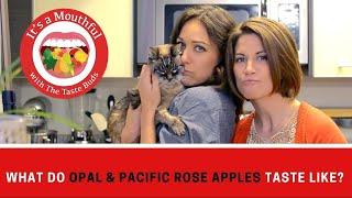 What do OPAL & ROSE APPLE taste like? (plus there's a cat)