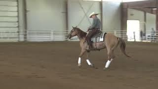 190726 Novice Horse Elijah McQuerry on Whizkey N Roses