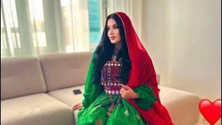 Pashto tiktok song 2024 اومنه چی اور لګوی ستا تصویر