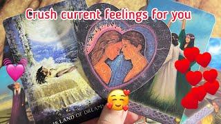 Crush Current feelings/ emotions for you️‍ Crush current feelings | Hindi tarot card