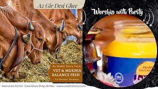 Amrutum desi A2 Gir cow ghee Online Mukhi Dairy I To build immunity to protect viruses & health.