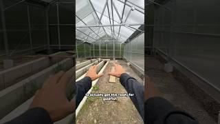 I built a giant greenhouse for my goldfish