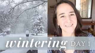 New Year Goals | January Wintering VLOGS