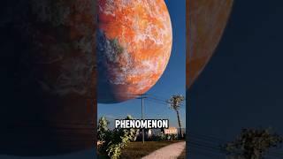 Top 5 Phenomenon that can Never be Explained. 