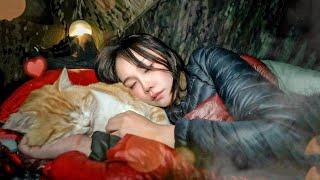 The end of winter camping was perfectly warm sleeping  with a cat / solo camping / makgeolli