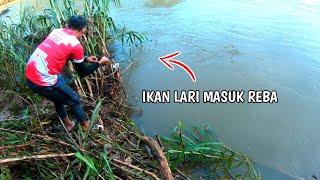 Memancing Ikan Tengas (Copper Mahseer) Selepas Banjir