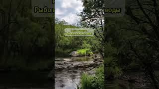 Уникальная природа Дальнего Востока #россия #russia #дальнийвосток #хабаровскийкрай