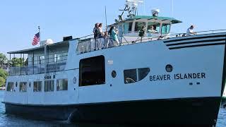 Beaver Islander (close-up)