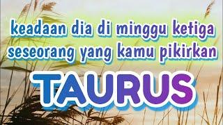 Taurus keadaan dia di Minggu ketiga